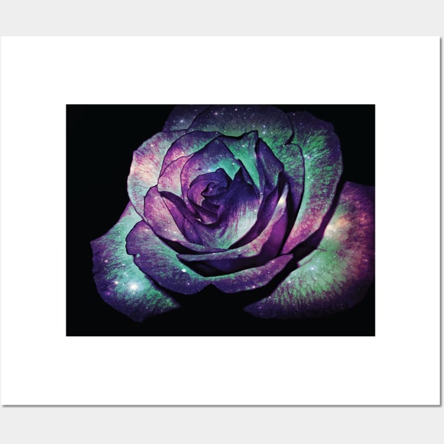 Floral Glitter Galaxy Purple Blue and Pink Rose Flower from Beautiful Blooming Botanical Garden in Nature with Minimal Style during Spring Summer Wall Art by Little Shop of Nola